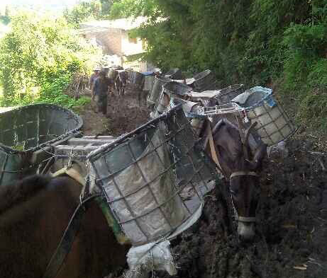 潮南区马帮搬运