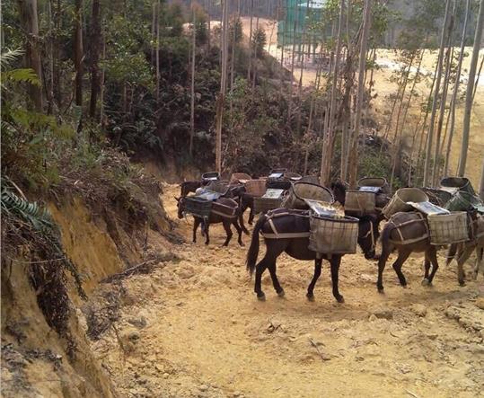 潮南区马帮山路运输