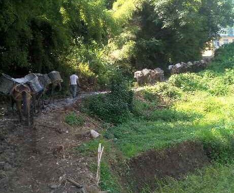 潮南区马帮运输队