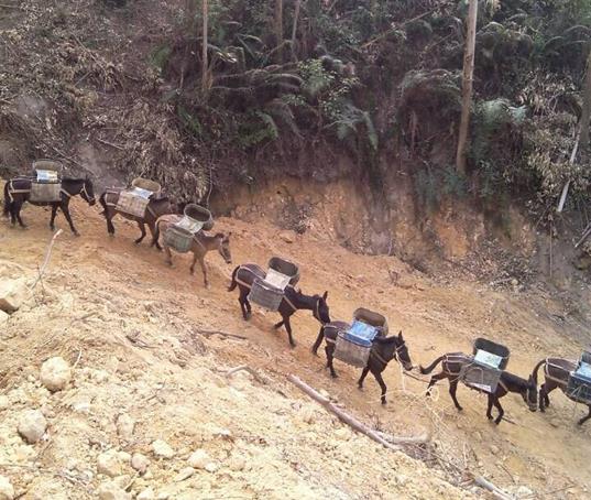 潮南区山路马帮运输