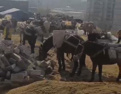 潮南区马队山路运输