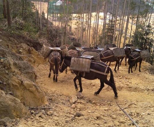 潮南区山区马队运输