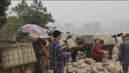 潮南区骡马山区运输