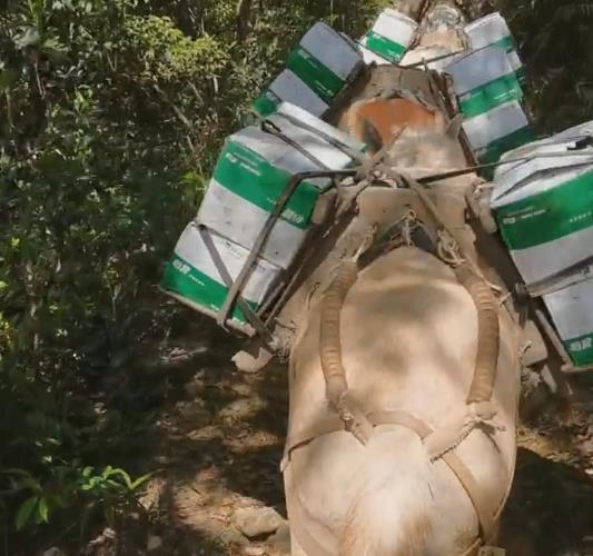 潮南区骡马山路运输