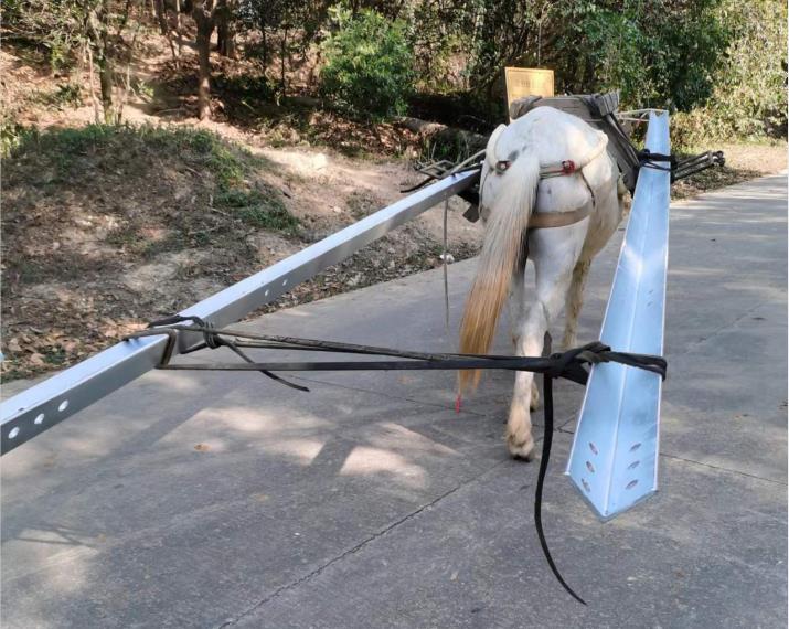 潮南区马队搬运