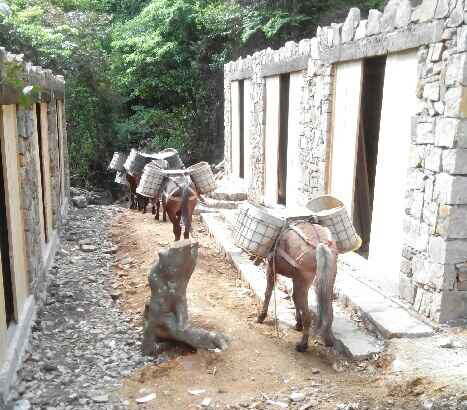 潮南区马队运输队