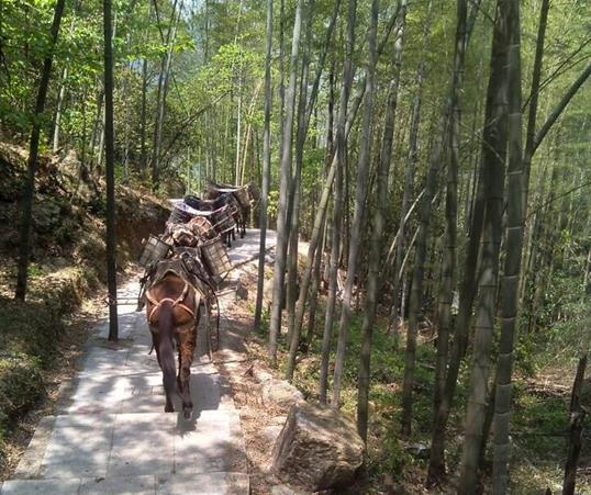 潮南区山路马队运输