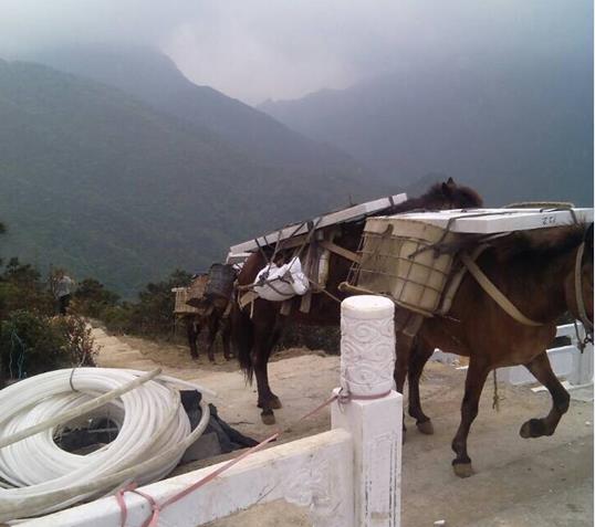 潮南区山区马帮运输