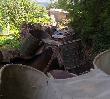 潮南区骡马运输